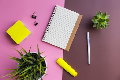 A top view shot of a notebook, sticky paper, pen, and two plants on a pink and brown background