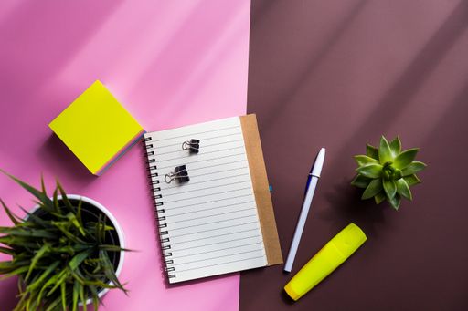 A top view shot of a notebook, sticky paper, pen, and two plants on a pink and brown background