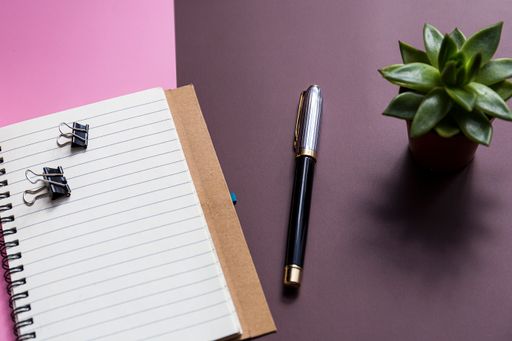 A top view shot of a notebook, pen, and a plant on a pink and brown background
