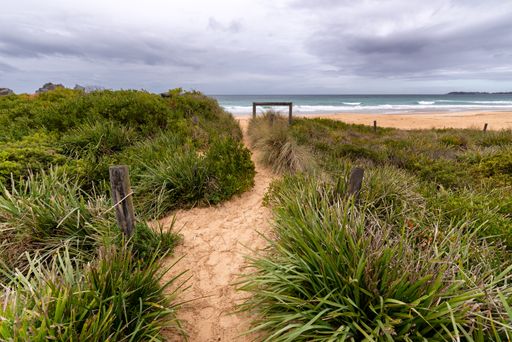 A shot of a shore with grass and a sandy path leading to the sea with a cloudy background