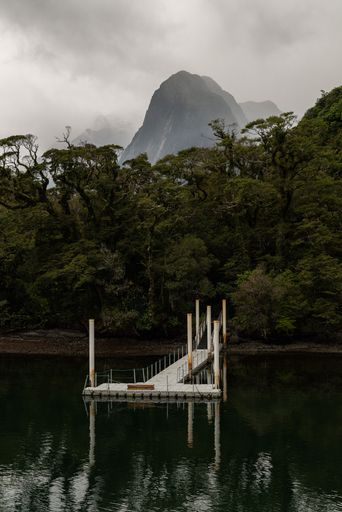 A vertical shot of a pier for Bowen Falls walk in Milford Sound, New Zealand