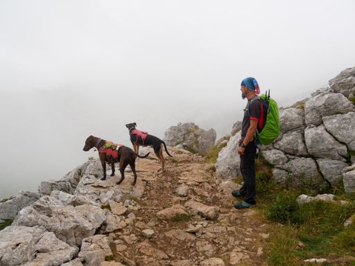 A Caucasian man hiker with a backpack in the mountainous area and his dogs