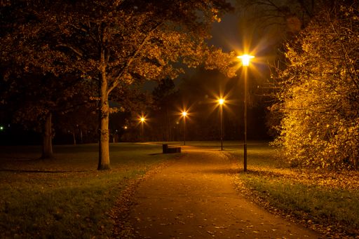 An empty road in the park at night