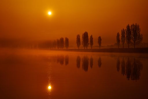 A beautiful shot of a foggy lake with trees on land and reflections at sunset