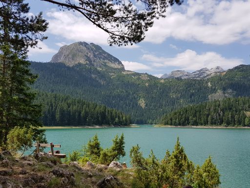 The Black Lake surrounded by rocks covered in greenery under the sunlight in Montenegro