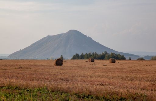 The mowed field and straw bales laid one after the other after harvest against the cloudy sky