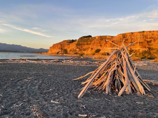A closeup shot of bonfire wood on a seashore in the evening