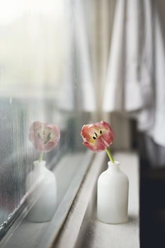 A vertical closeup shot of a pink tulip in a white vase on a windowsill