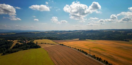 A landscape of farm field crops covered in greenery under a blue cloudy sky