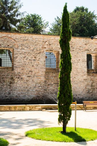 A vertical shot of the outdoors seen from Topkapi Palace in Istanbul, Turkey