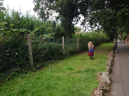 A rear shot of a cute little girl with blonde hair walking outdoors
