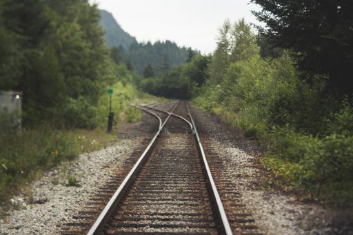 A wide shot of a train rail surrounded by trees