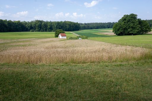 A beautiful view of the  agricultural fields gleaming under the cloudy blue sky