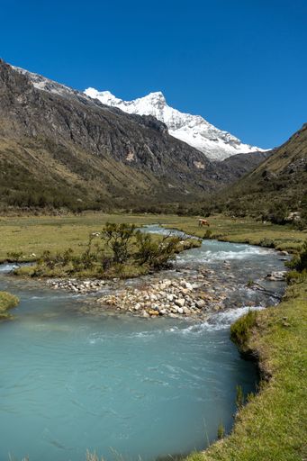 Turquoise river flowing through a green valley with snow-capped mountains and a clear blue sky in Huascaran National Park, Peru.