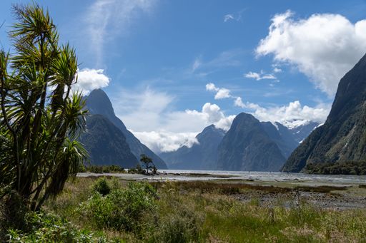 Scenic view of Milford Sound with lush greenery and towering mountains under a bright blue sky in New Zealand.