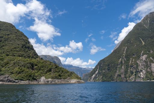 Scenic view of Milford Sound fjord in New Zealand with lush green mountains and clear blue sky.