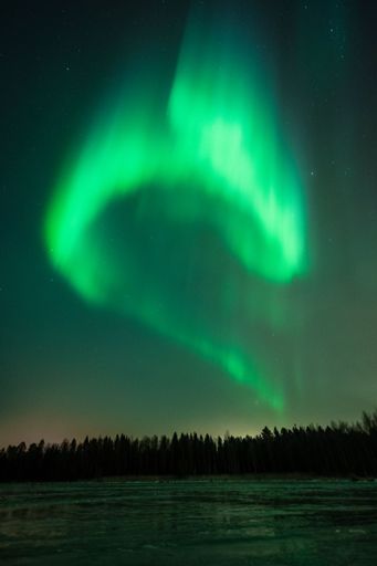 Stunning aurora borealis over a forest with a clear night sky, showcasing vibrant green lights in a natural landscape.
