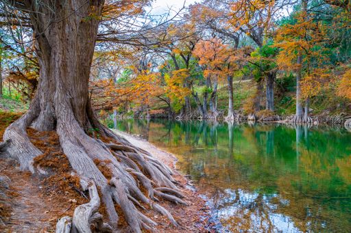Scenic view of a tranquil river lined with large trees and autumn foliage reflecting in the water.