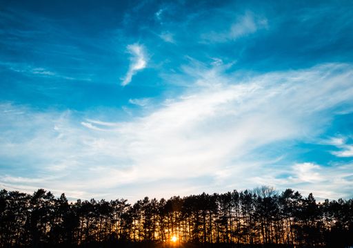 A beautiful wide shot of silhouette of trees under a clear blue sky with clouds during golden hour