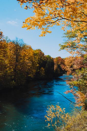 A Mesmerizing view of blue sky reflecting on blue river water, yellow trees around on a sunny day