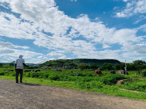 A farmer standing in the road of a rural area