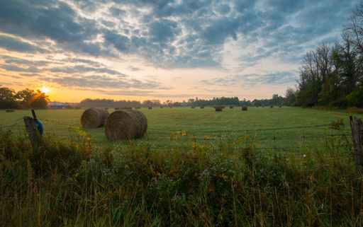 A landscape of rolled haystacks in a field under a cloudy sky during the sunrise