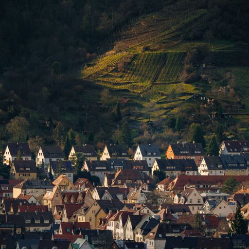 Charming European village with colorful rooftops nestled against a hillside vineyard, bathed in warm sunlight.