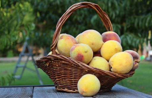A closeup shot of a basket full of organic peaches on a table outdoors