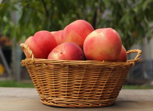 A closeup shot of a basket of fresh organic peaches on the wooden table in the garden