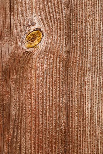 A vertical shot of a wooden door - can be used as a background