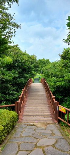 A vertical shot of a small wooden bridge in a park covered in greenery under a cloudy sky