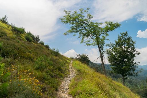 A dirt path on a grassy slope of a mountain against a cloudy sky