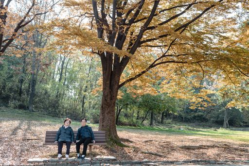 A Korean elderly couple sitting on a bench in a park in autumn in South Korea