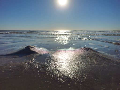 A low angle view of a sunny beach with small sand dunes and shimmering water under a clear blue sky