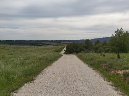 A narrow road in a field covered in greenery under a cloudy sky on a rainy day in the countryside