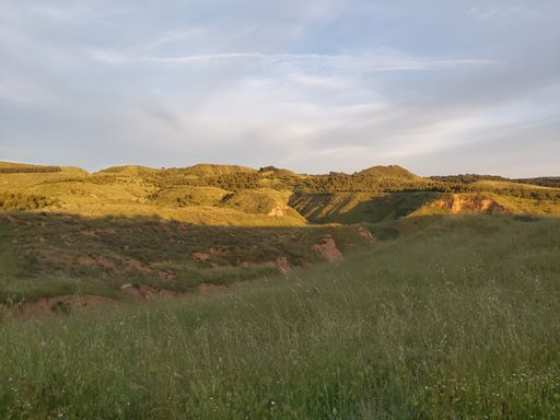 A landscape of a field and hills covered in greenery under the sunlight in the countryside