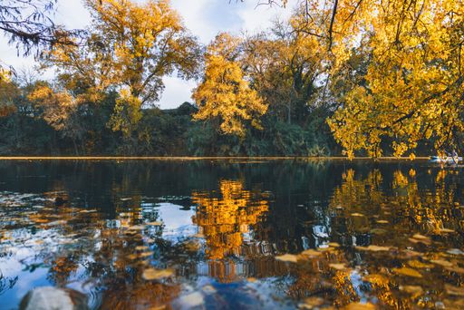 A tranquil autumn scene with golden foliage reflecting on a calm river, capturing the essence of fall in a serene natural setting.