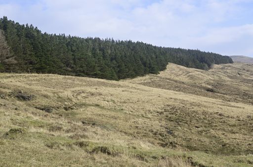 A landscape of hills covered in the grass and trees under a cloudy sky at daytime in Scotland