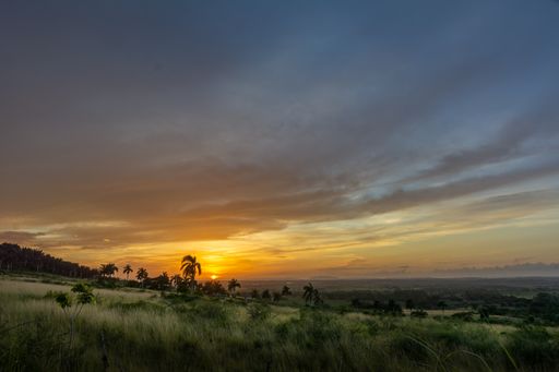A beautiful landscape of a grassy field under a colorful evening sky