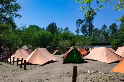 A scenic campsite with colorful tents set in a lush forest under a clear blue sky, perfect for outdoor adventures and nature retreats.