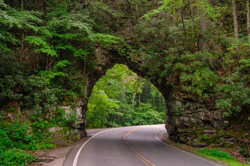 A Backbone rock tunnel in Tennessee, the USA