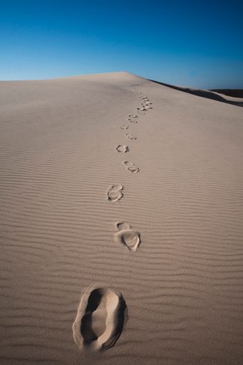 The footprints on the sand at sunny day