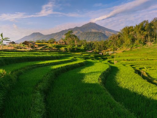 A landscape of a rice terrace surrounded by hills under a blue sky and sunlight in the countryside