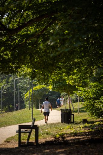 A man jogging on a sunny park path surrounded by lush green trees, with a bench and trash bin in the foreground.