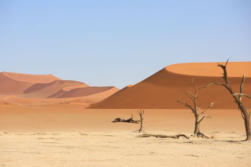A stunning view of the desert landscape with towering red dunes and dead trees under a clear blue sky in Namibia.