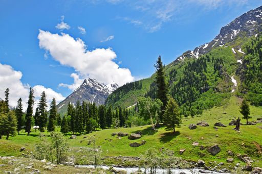 A landscape of rocky hills covered in greenery under the sunlight and a blue sky