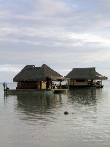 A vertical shot of wooden guts over the water in Tahiti