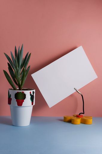 A vertical shot of a plant in a decorated pot and yellow hook with white sheet on pink background