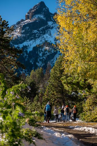 A group of hikers enjoying a scenic trail with a snow-capped mountain in the background under a clear blue sky.
