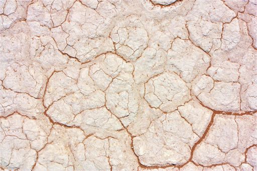 A closeup of a cracked white rocky wall